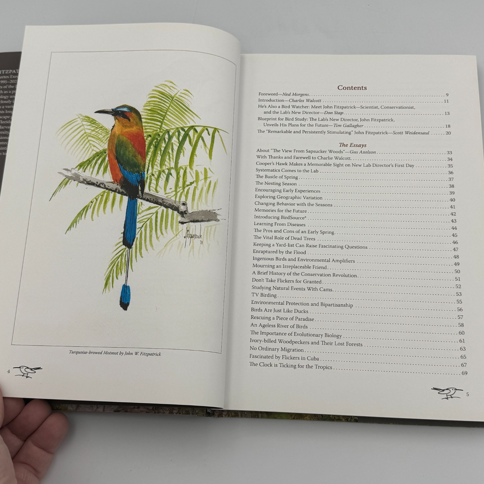 The View from Sapsucker Woods Essays John W Fitzpatrick HCDJ Cornell Ornithology